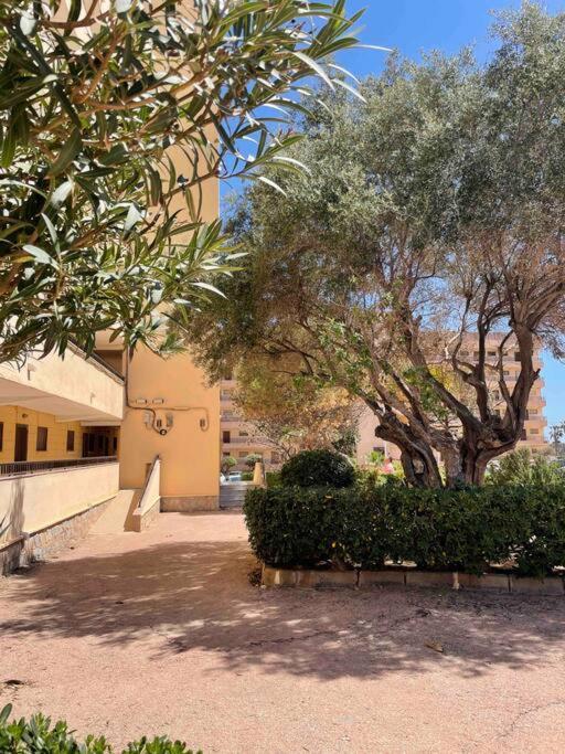 Ferienwohnung Miramar V Torrevieja Exterior photo
